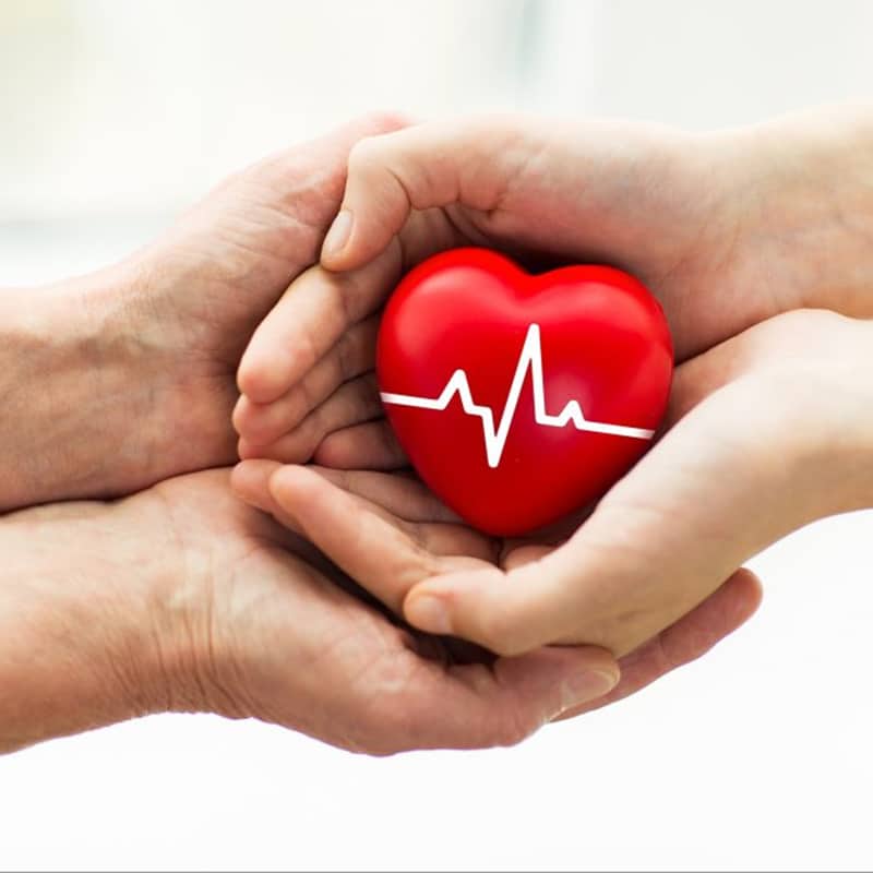 Herz in H&auml;nden Organspende